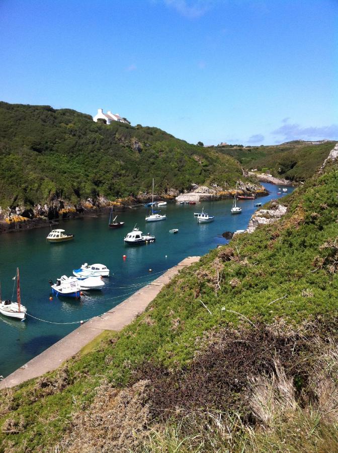 Ramsey House - Luxury Licensed B&B - Parking And Guest Lounge St. Davids (Pembrokeshire) Exterior foto
