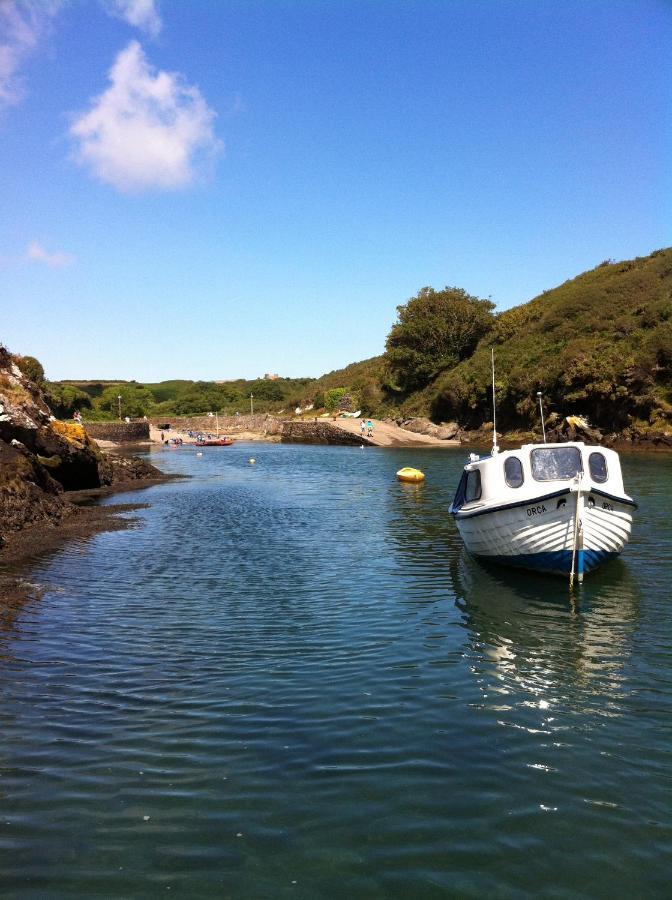 Ramsey House - Luxury Licensed B&B - Parking And Guest Lounge St. Davids (Pembrokeshire) Exterior foto
