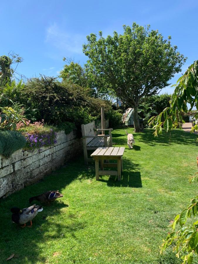 Ramsey House - Luxury Licensed B&B - Parking And Guest Lounge St. Davids (Pembrokeshire) Exterior foto